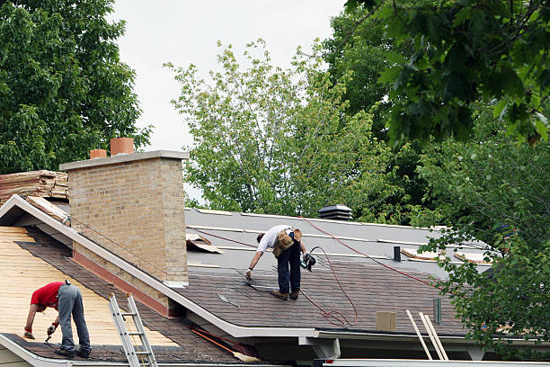 Roof Waterproofing Services in Steamboat Springs, CO